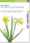 Reconnaître les fleurs printanières
