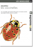 Identifier les coccinelles