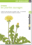 Croquer les plantes sauvages