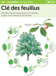 Clé des feuillus