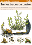 Sur les traces du castor