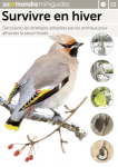 Survivre en hiver