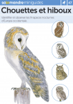 Chouettes et hiboux
